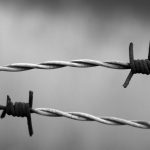 انواع سیم خاردار