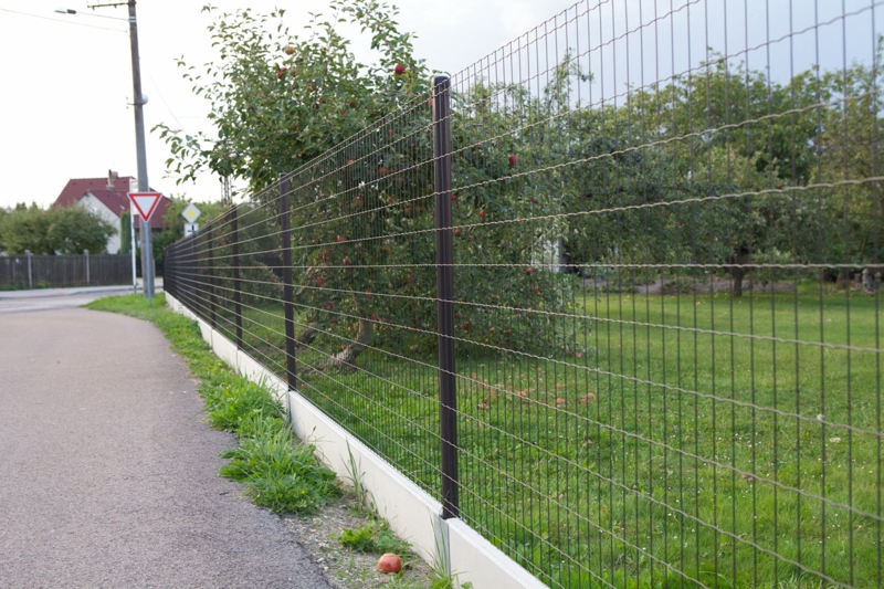 چگونه با توری نردهای، فضای مدرسه را ایمنتر و جذابتر کنیم؟ (راهنمای مدیران مدرسه) چگونه با توری نردهای، فضای مدرسه را ایمنتر و جذابتر کنیم؟ (راهنمای مدیران مدرسه)